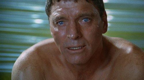 The Swimmer filmas žiurėti online