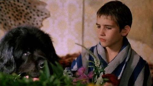 The Boy with the Big Black Dog filmas žiurėti online