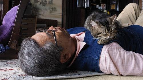 The Island of Cats filmas žiurėti online