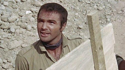 Shark filmas žiurėti online