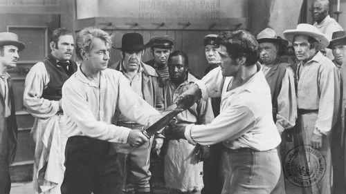 The Iron Mistress filmas žiurėti online