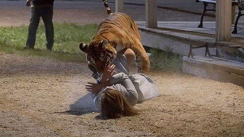 Maneater filmas žiurėti online