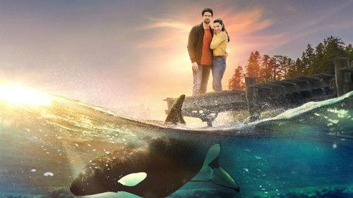 A Splash of Love filmas žiurėti online