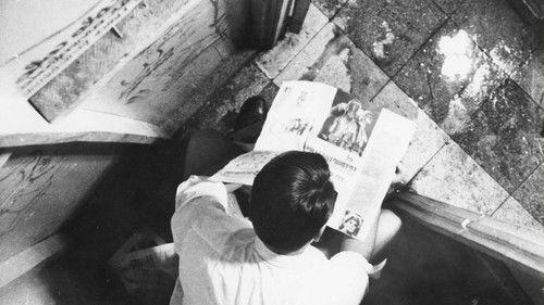 Three Sad Tigers filmas žiurėti online