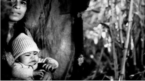 De ida y vuelta filmas žiurėti online