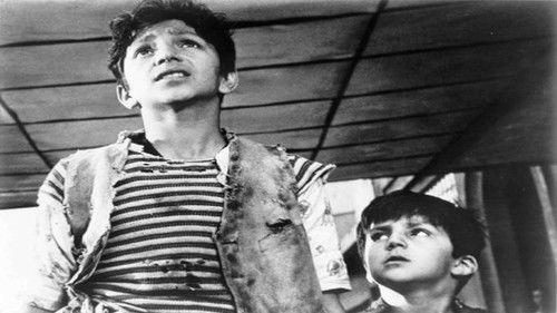 The Road of Life filmas žiurėti online