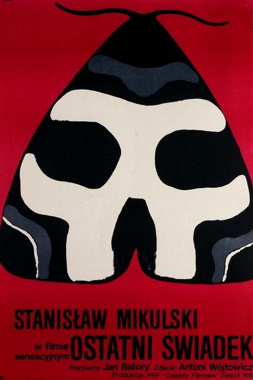 The Last Witness filmas online