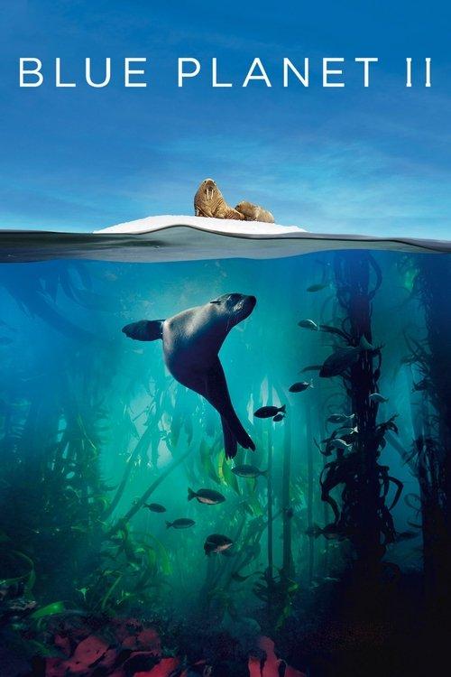 Mėlynoji Planeta 2 filmas online