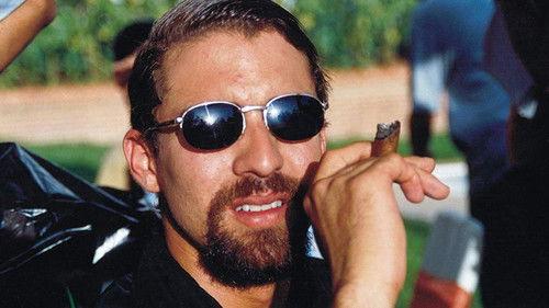 El Don filmas žiurėti online