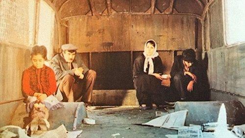 Bir Avuç Cennet filmas žiurėti online