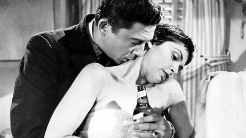 Cop Hater filmas žiurėti online