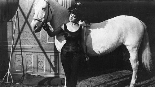 The Black Dream filmas žiurėti online