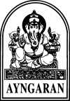 Ayngaran International studio logo