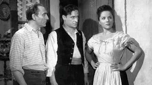 María Rosa filmas žiurėti online