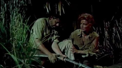 Appointment in Honduras filmas žiurėti online