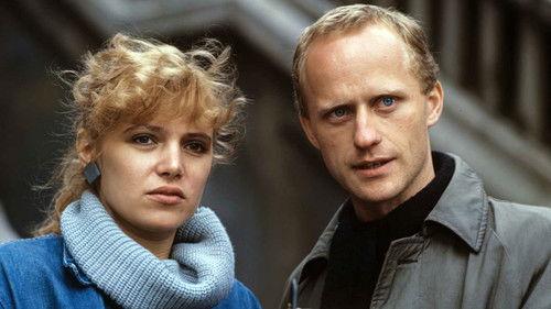 Angel in the Wardrobe filmas žiurėti online