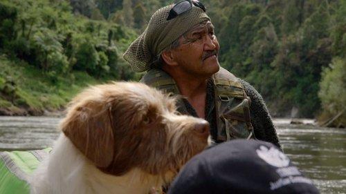 I Am the River, the River Is Me filmas žiurėti online