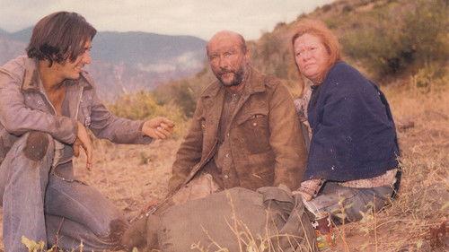 The Rainbow Boys filmas žiurėti online