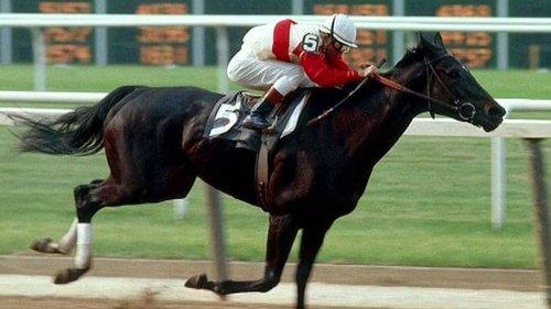 Ruffian filmas žiurėti online