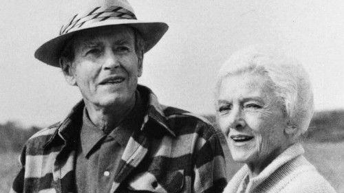 Summer Solstice filmas žiurėti online