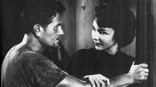 We Were Strangers filmas žiurėti online