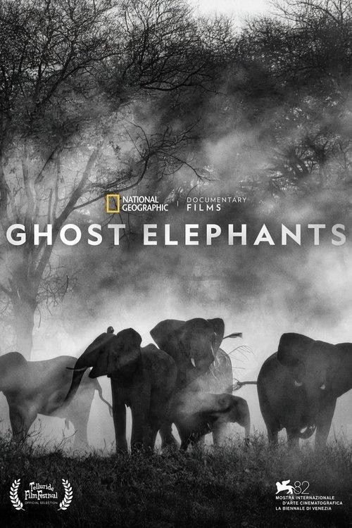 Ghost Elephants filmas online