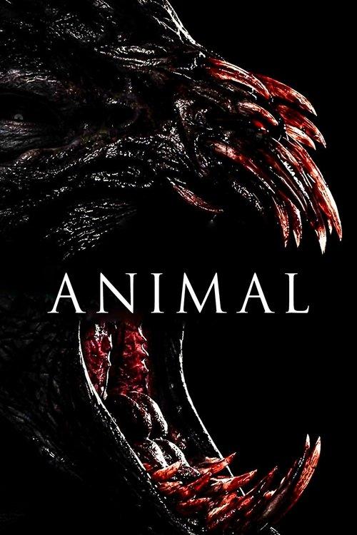 Animal filmas online