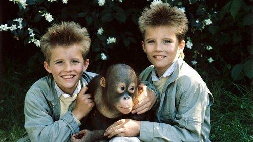 Twins at the Zoo filmas žiurėti online