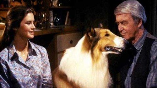 The Magic of Lassie filmas žiurėti online