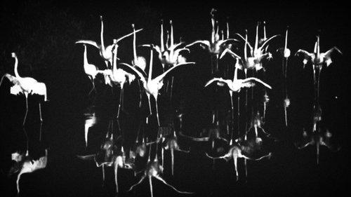 Meanders filmas žiurėti online