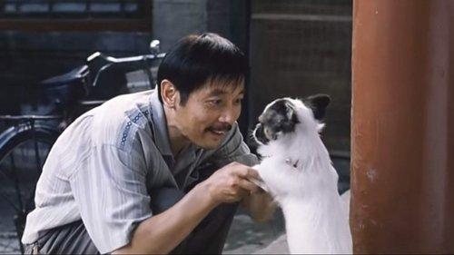 Cala, My Dog! filmas žiurėti online