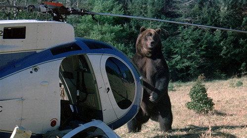 Grizzly filmas žiurėti online