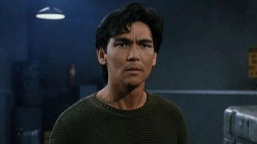 Bloodfist VII: Manhunt filmas žiurėti online