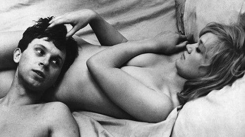 Blondinės meilė filmas žiurėti online