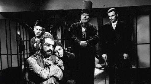 Sinekli Bakkal filmas žiurėti online