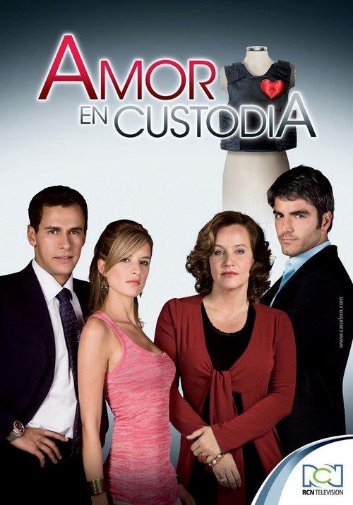 Amor en custodia filmas online