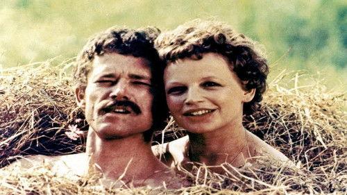 The Crazy Smell of Fresh Hay filmas žiurėti online