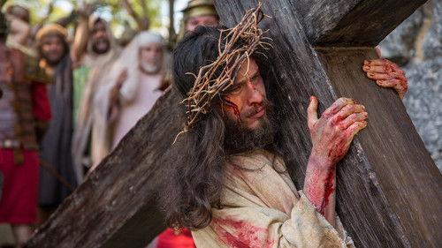 O Filho do Homem filmas žiurėti online