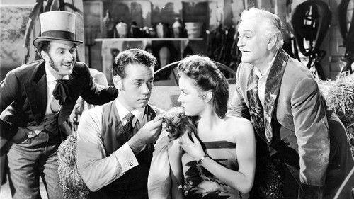 The Cockeyed Miracle filmas žiurėti online