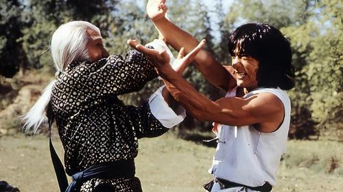 Fearless Hyena filmas žiurėti online