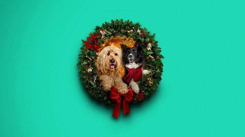 Happy Howlidays filmas žiurėti online