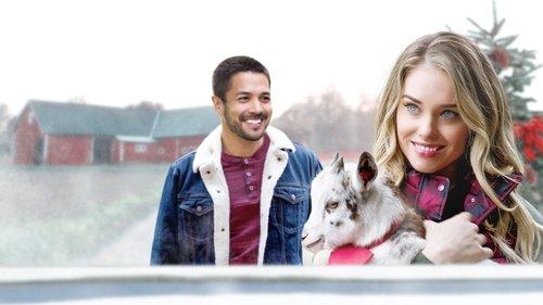 Lonestar Christmas filmas žiurėti online