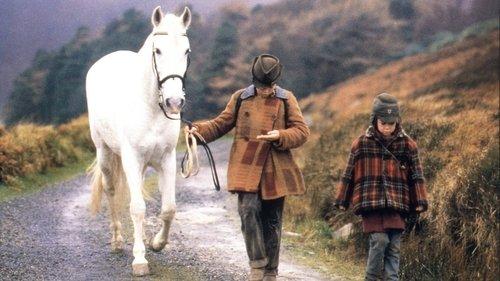 Into the West filmas žiurėti online