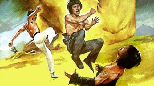 Bruce and Shaolin Kung Fu filmas žiurėti online