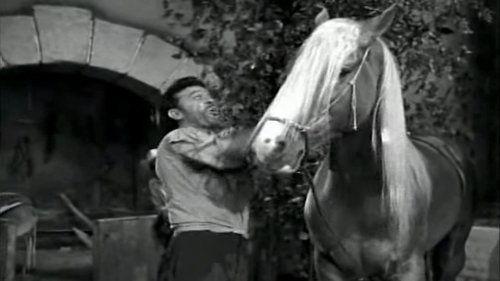 The Third Word filmas žiurėti online