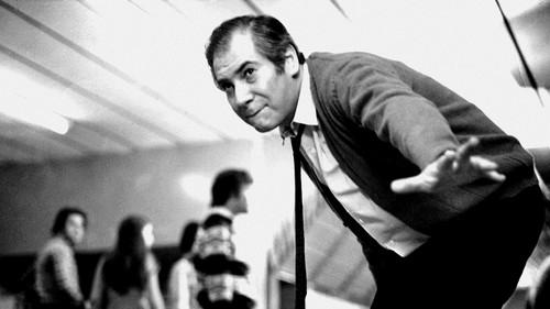 Diary of a Pig War filmas žiurėti online