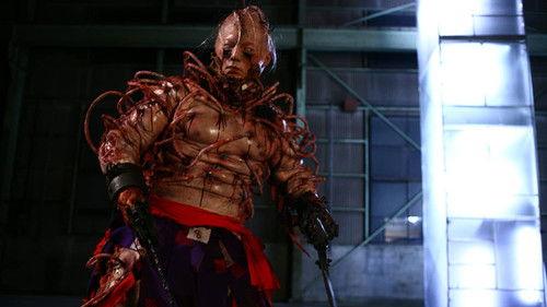 Samurai Princess filmas žiurėti online