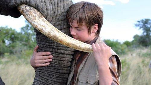 An Elephant's Journey filmas žiurėti online