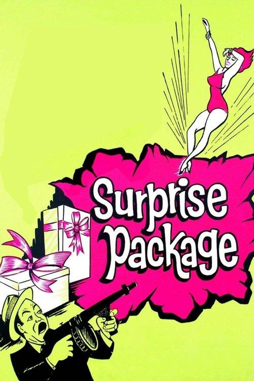 Surprise Package filmas online