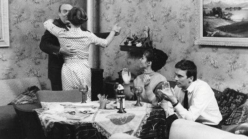 No Shooting Time for Foxes filmas žiurėti online